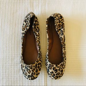Lucky Brand Shoes - NEW Lucky Brand Emmie Ballet Flat Lucky Brand Shoes - NEW Lucky Brand Emmie Ballet Flat